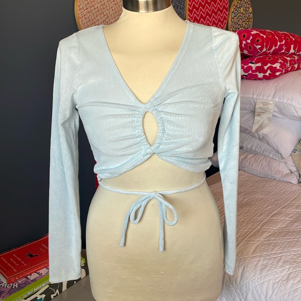 Ribbed velour baby blue cropped long sleeve